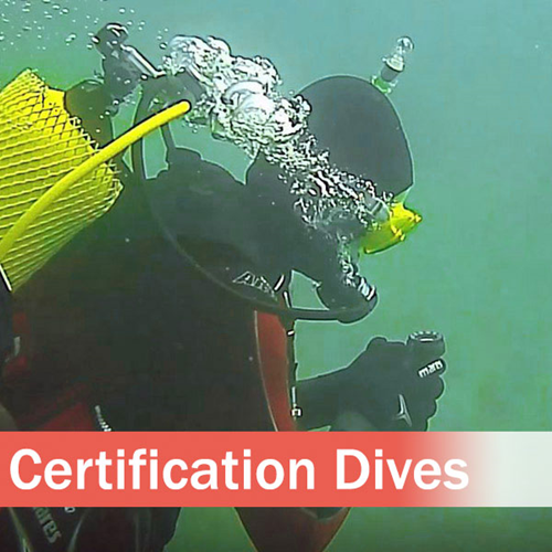 UWM Certification Dives